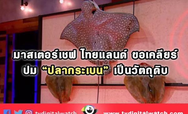 มาสเตอร์เชฟไทยแลนด์ ขอเคลียร์ ปม “ปลากระเบน” เป็นวัตถุดิบ