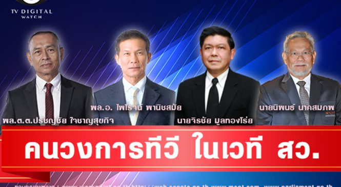 คนวงการทีวี ในเวที สว.